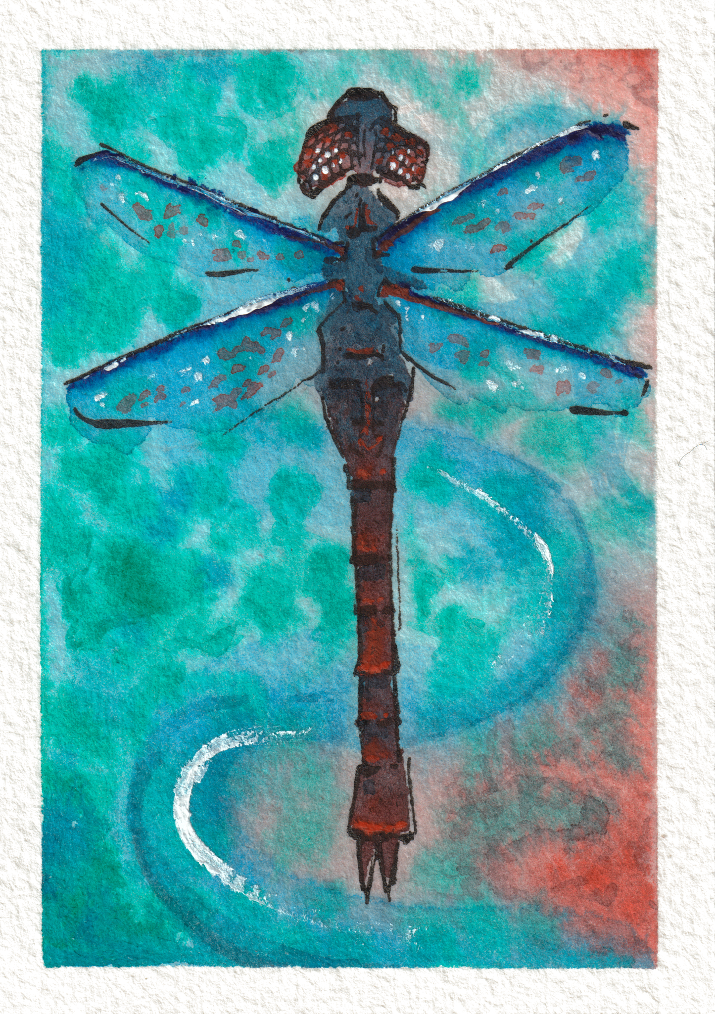 Pigeon rubané — Aquarelle, 5x7 po