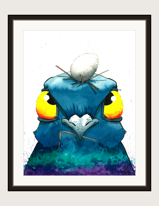 Egg Pigeon, print shown framed