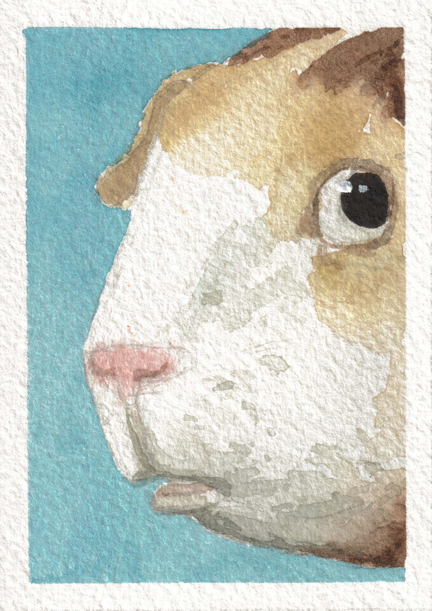Guinea pig — Watercolor, 2.5x3.5 in (trading card size)