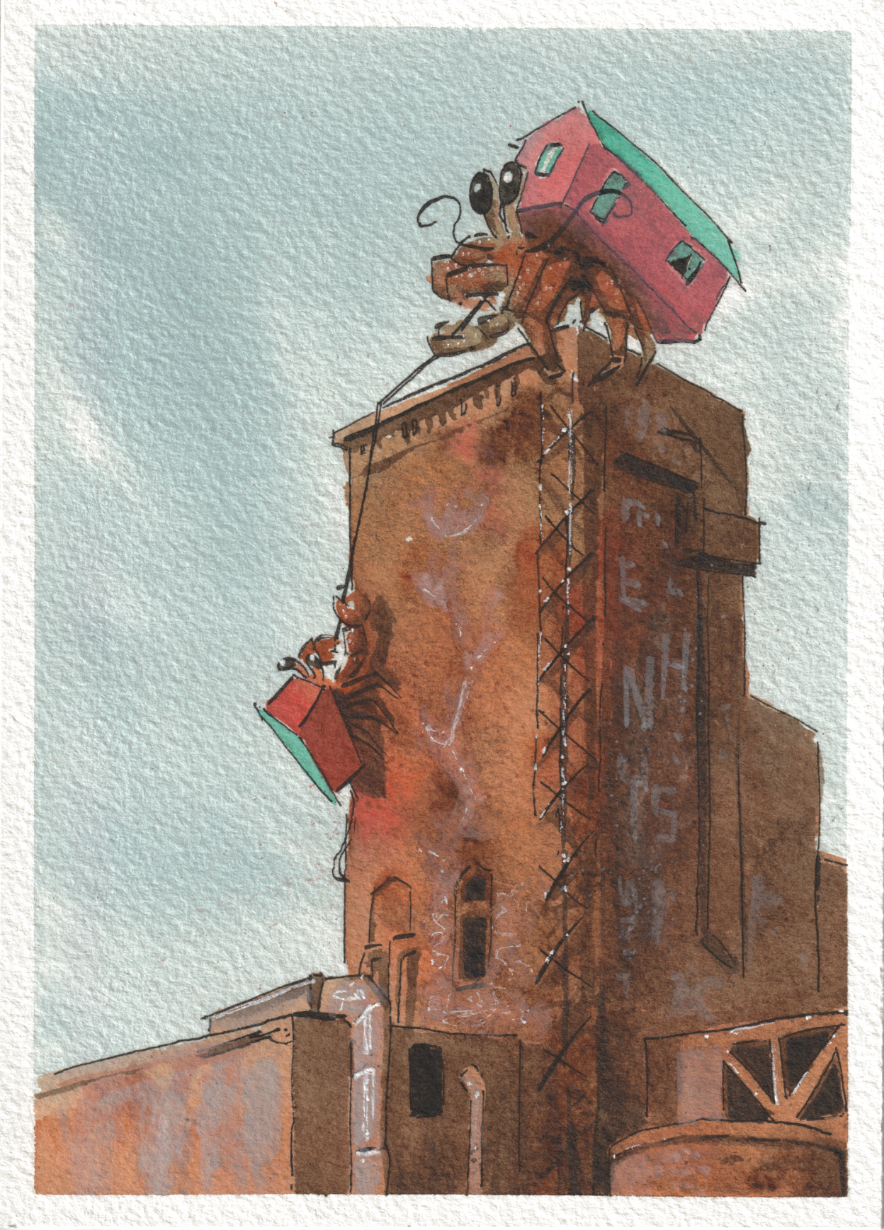 Montreal Pink House Hermit Crab — Watercolor & Ink, 5x7 in