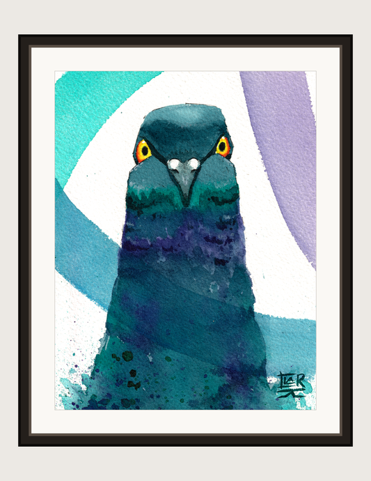 Ribbon Pigeon watercolour, print shown framed