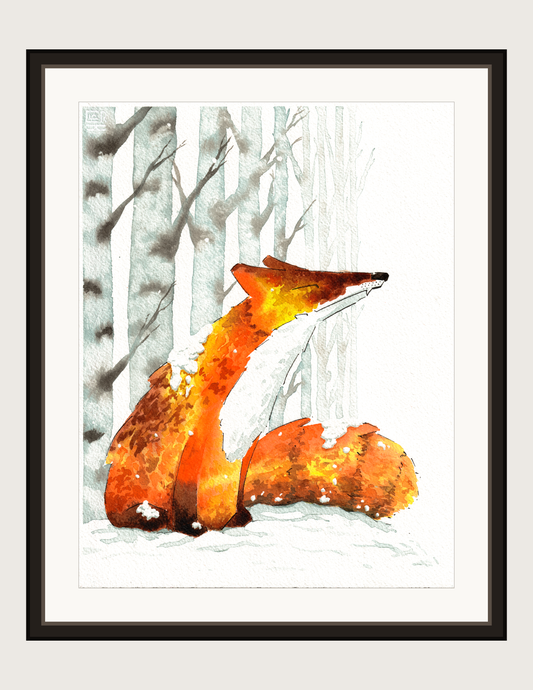 Snowy Fox, framed print