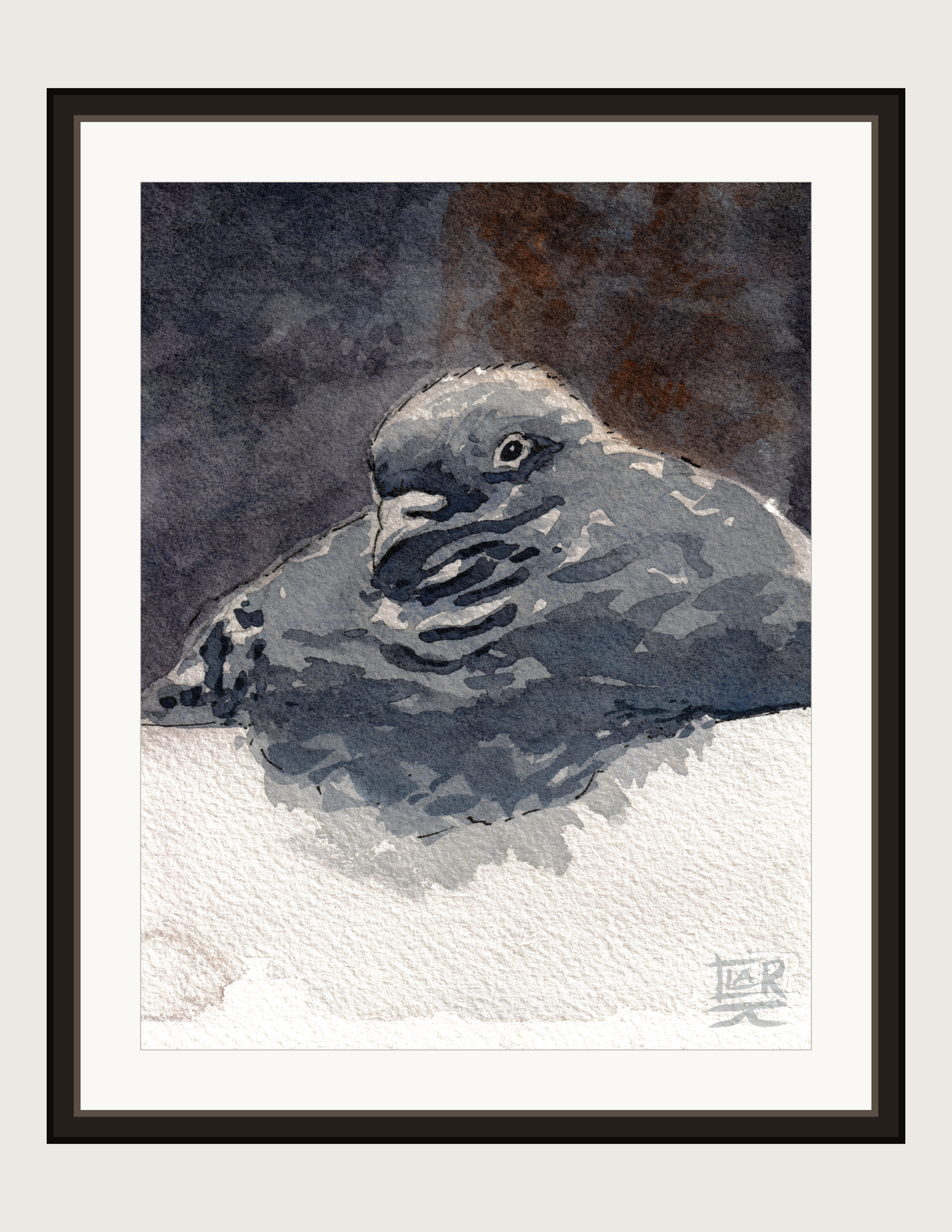 Borb Pigeon watercolour and ink, print shown framed