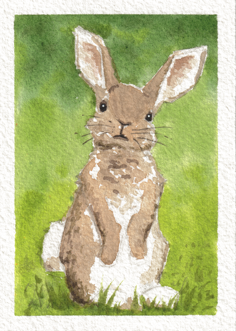 Bunny — Watercolor, 2.5x3.5 in (trading card size)