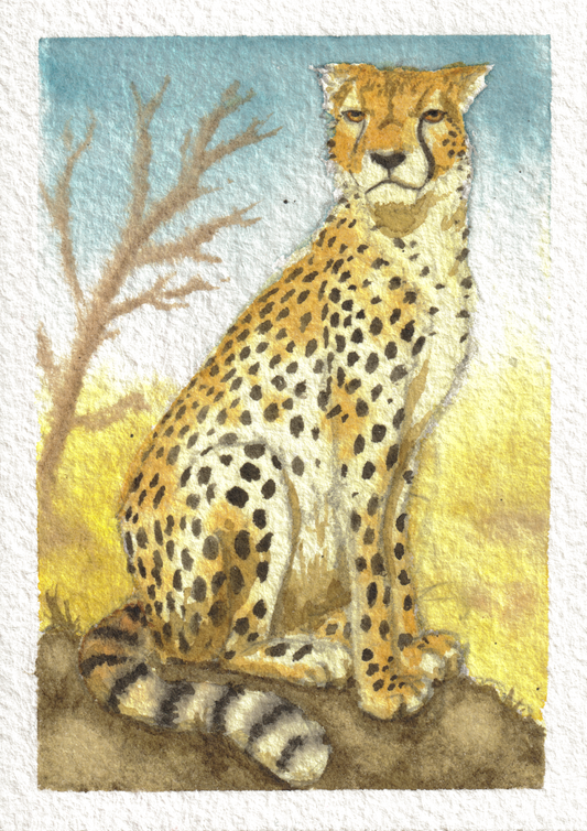 Cheetah — Watercolor, 2.5x3.5 in (trading card size)