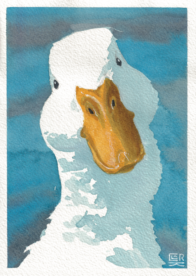 Duck — Watercolor, 5x7 in