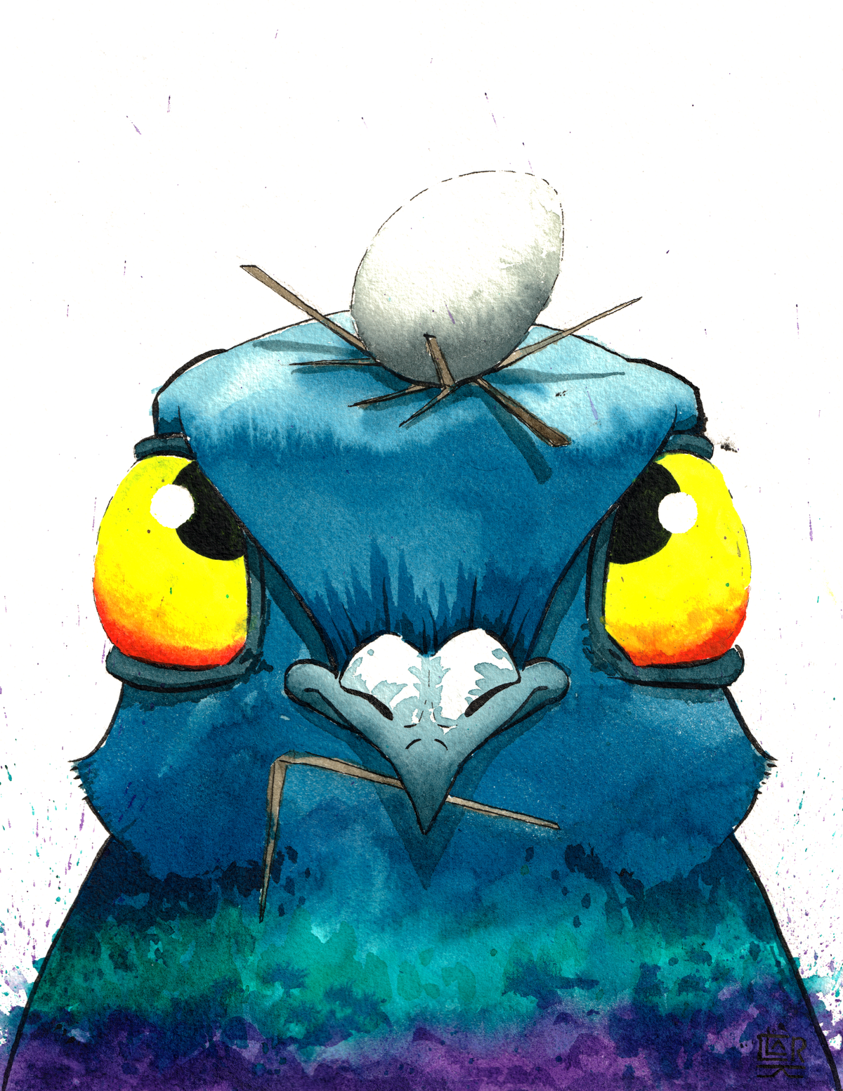 Egg Pigeon, print edition