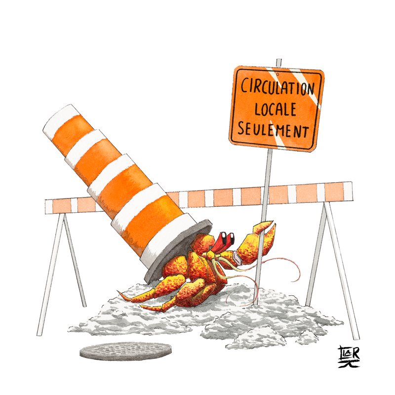 Hermite Montréalais - Circulation Locale seulement— PRINT , 24x24 in