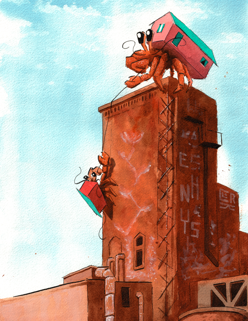 The Pink Hermit, print