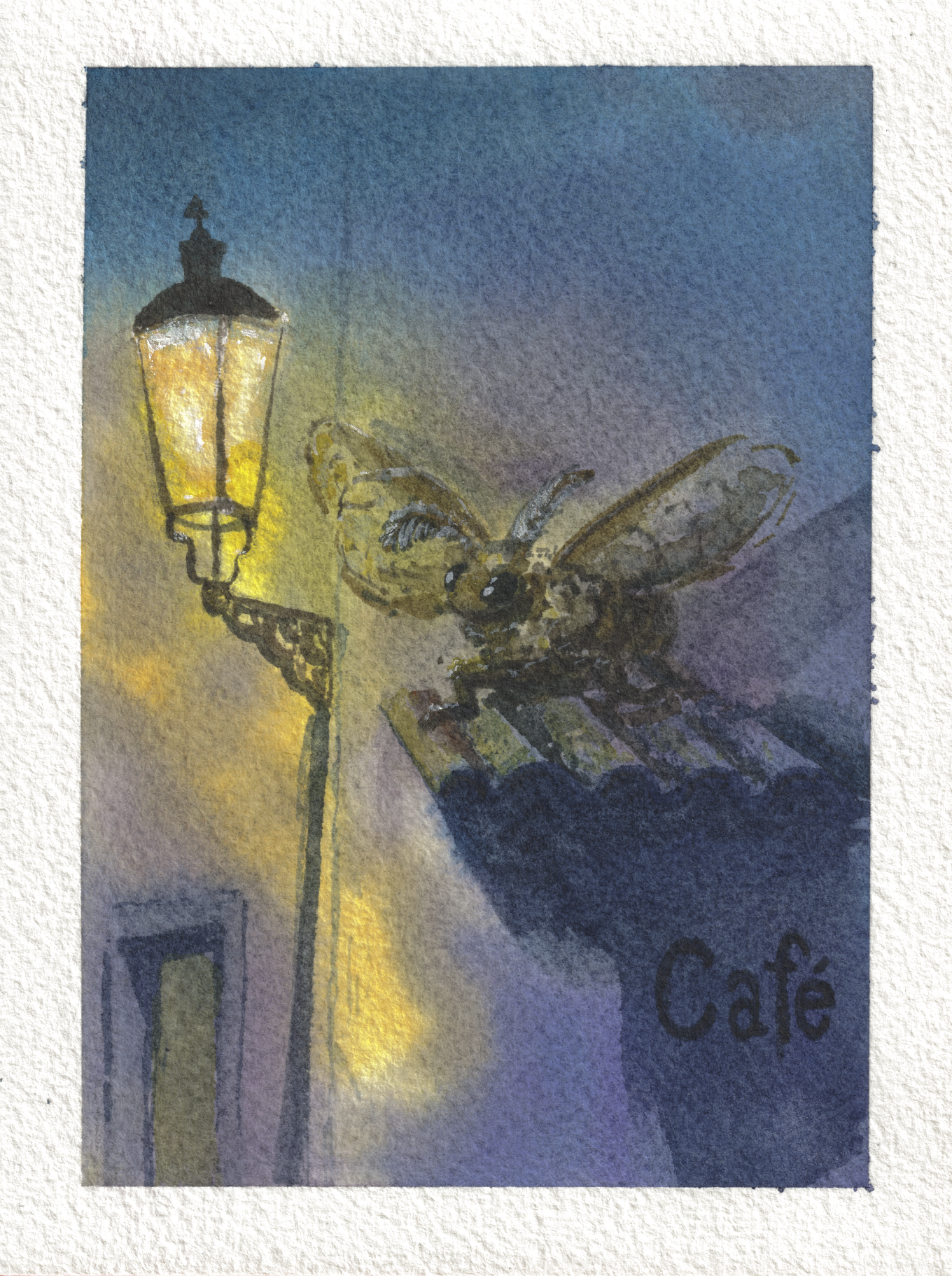 Moth Café — Watercolor, 4x5.25 in