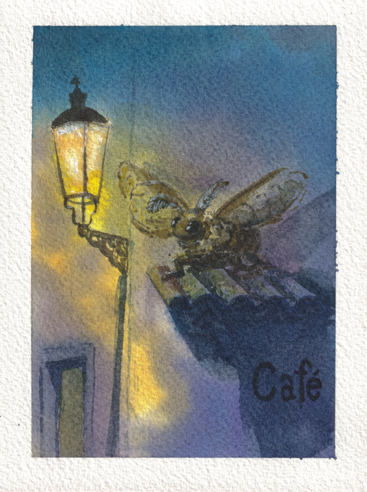 Moth Café — Aquarelle, 4x5,25 po