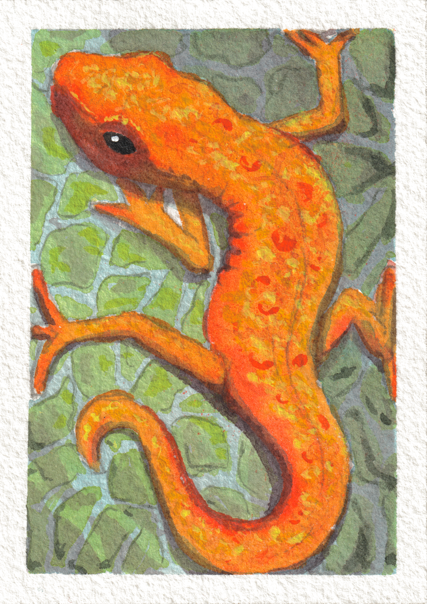 Lizard — Watercolor, 2.5x3.5 in (trading card size)