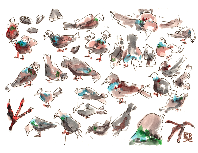 Collaborative Pigeon Doodles - PRINT 8.5x11 in
