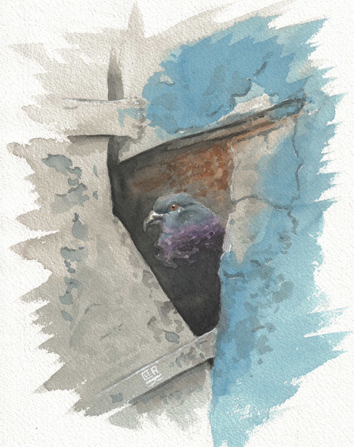 Nook Pigeon — Watercolor & Ink, 7x9 in