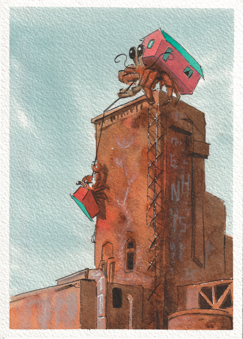 Montreal Pink House Hermit Crab — Watercolor & Ink, 5x7 in
