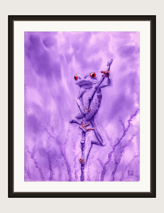 Purple Haze, red-eyed frog, framed print