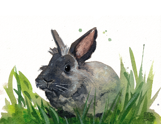 Rabbit, print edition