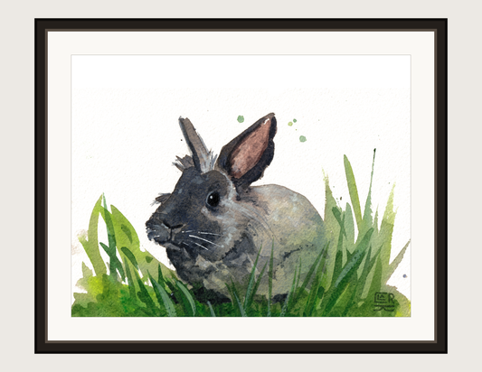 Rabbit, print shown framed