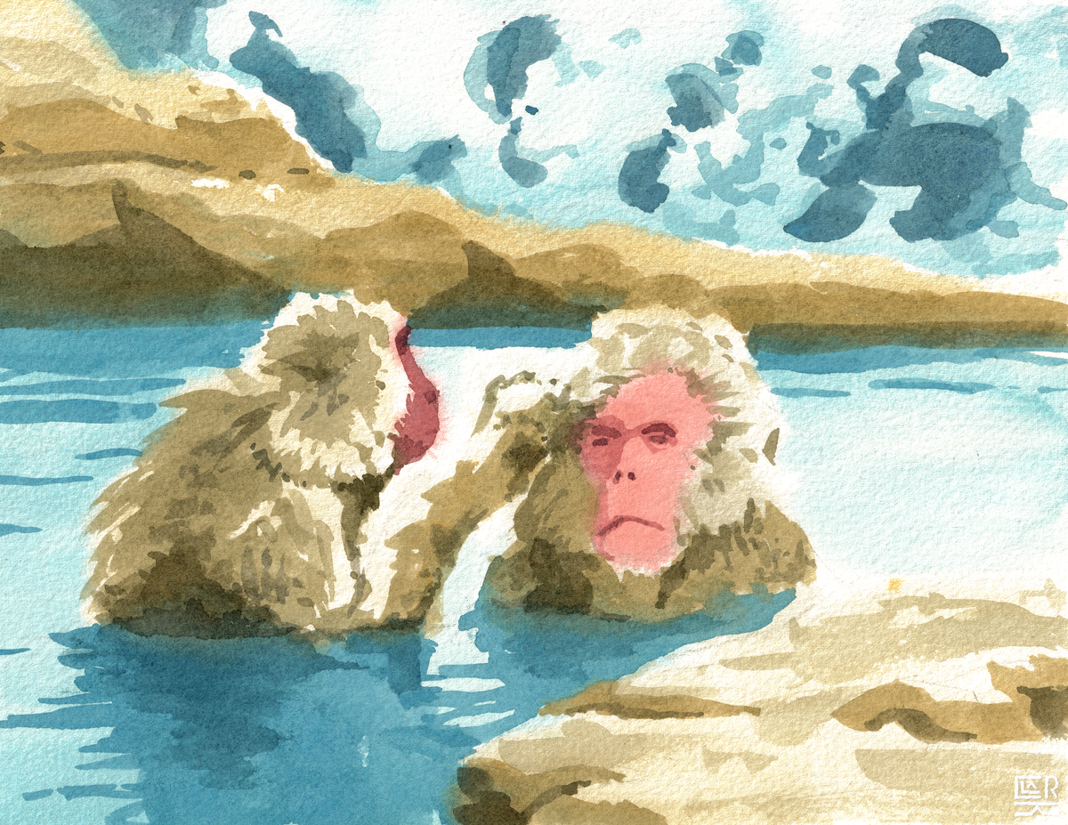 Snow Monkeys watercolour, print edition