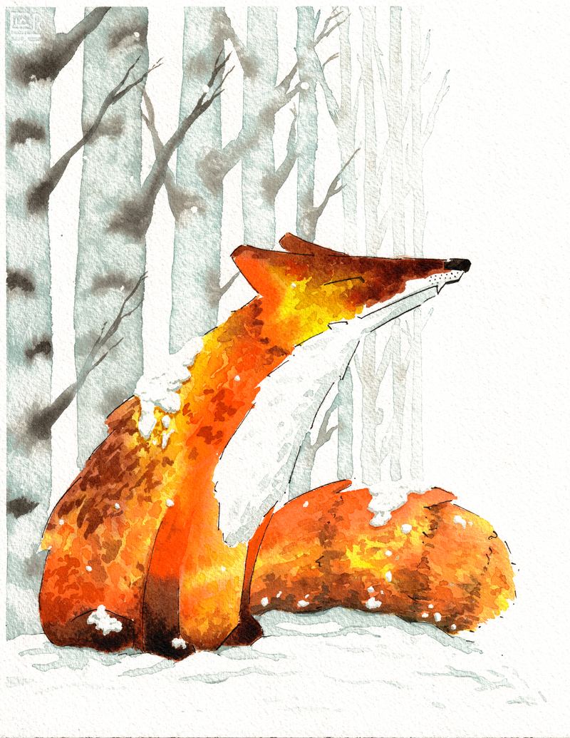 Snowy Fox, print