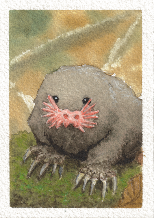 Mole — Watercolor, 2.5x3.5 in (trading card size)