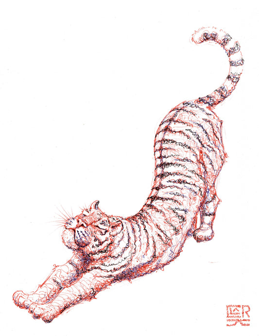 Tiger Stretch, print