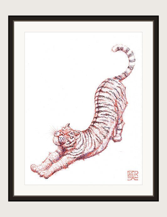 Tiger Stretch, framed print